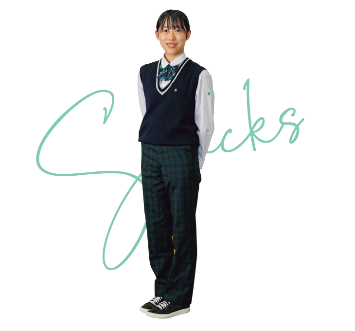 開星スラックスイメージ写真