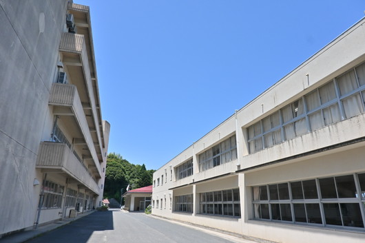 アメリカから学校体験生が来てくれました