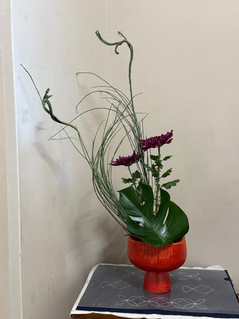 校長日記669「今日の一枚」