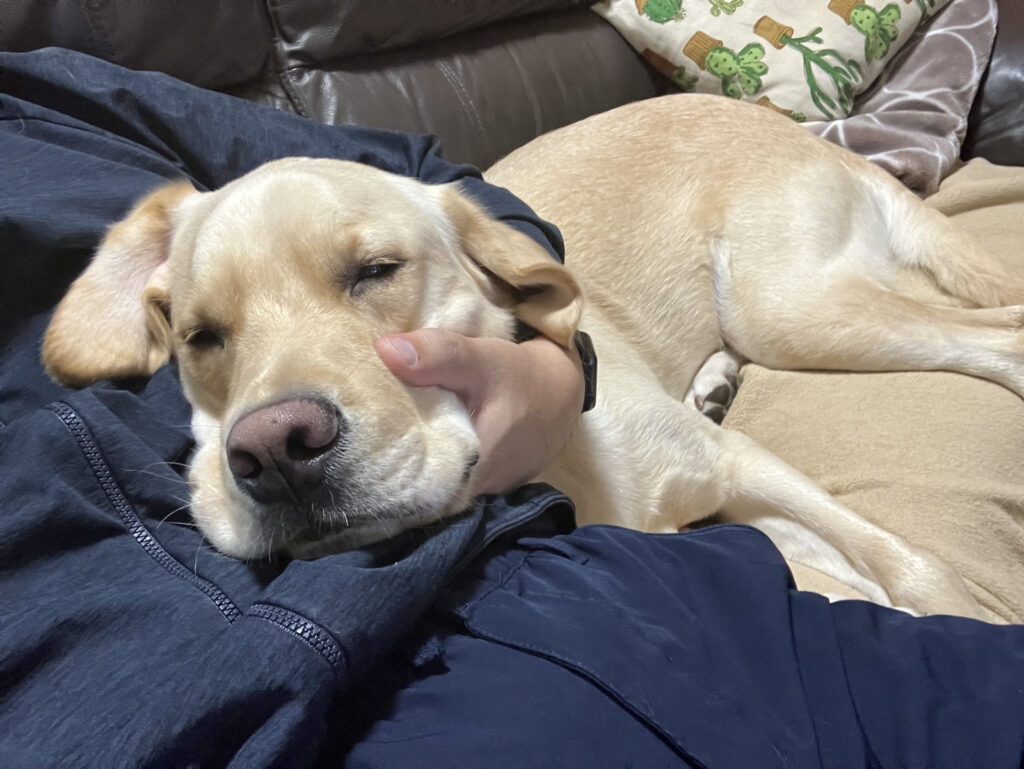 レイの日記13「一か月がたちました」