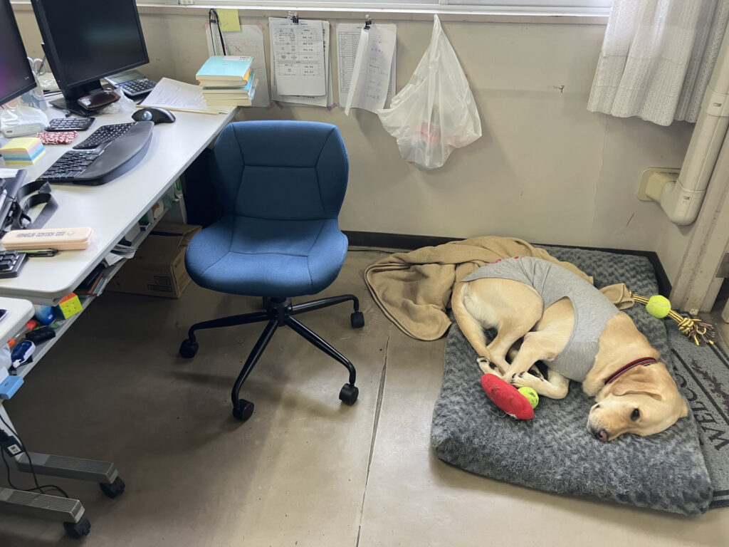 レイの日記17「TV出演情報と日常」