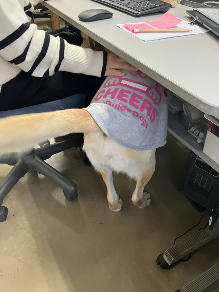 レイの日記18「雷ちょっと怖い」