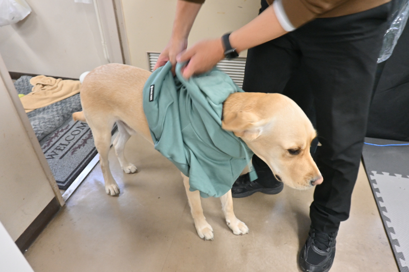 レイの日記23「レイへのご寄付のお礼、そしてお披露目」