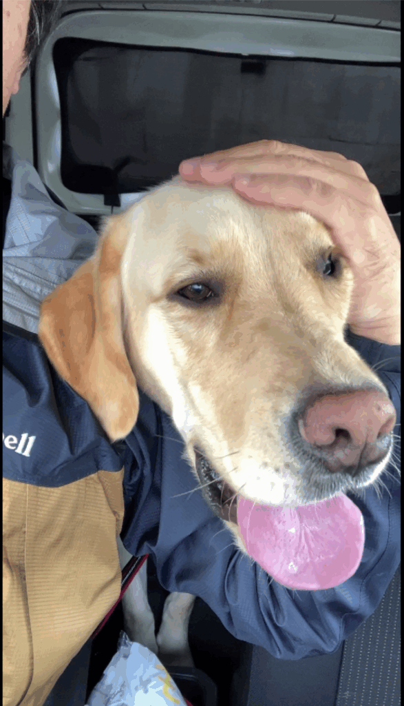 レイの日記21「注射こわい」