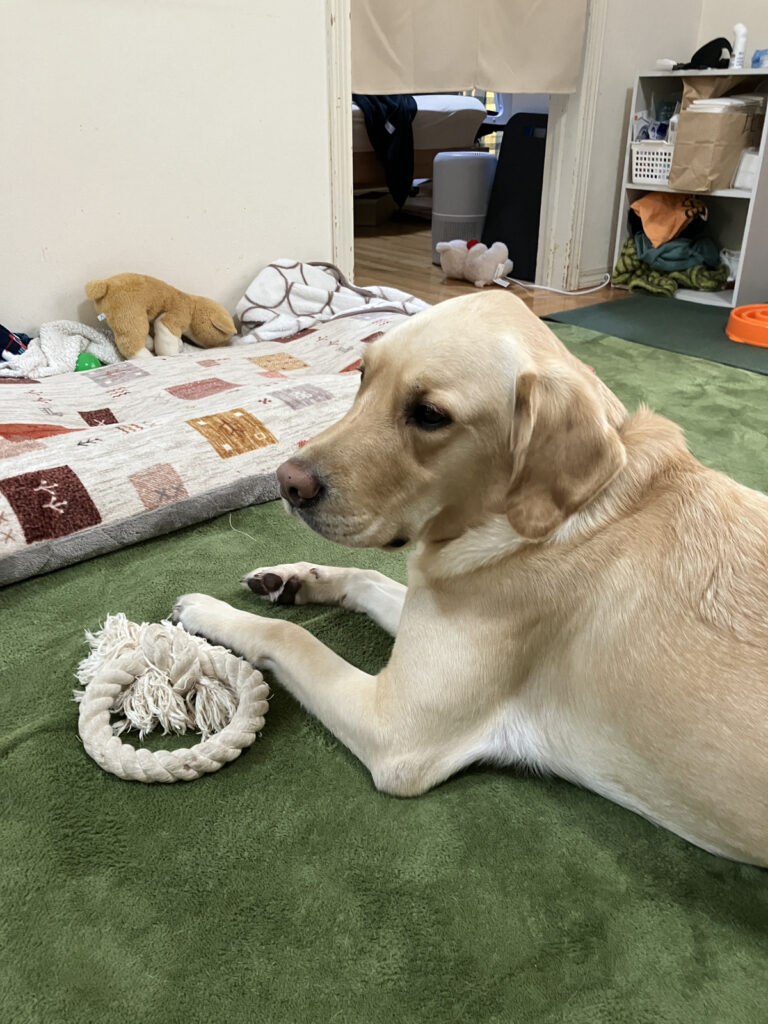 レイの日記28「お風呂は、好き、ではない」