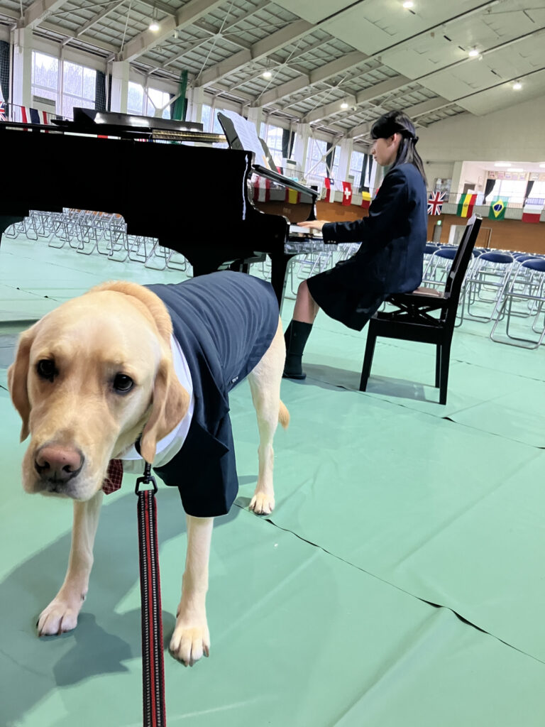 レイの日記34「卒業式」